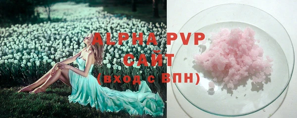 стаф Белокуриха