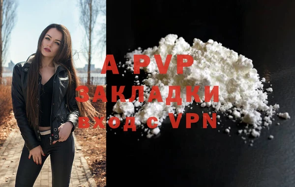 стаф Белокуриха