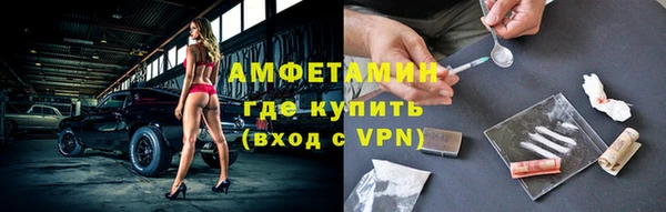стаф Белокуриха