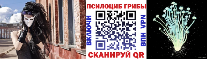 Галлюциногенные грибы Magic Shrooms  Купить  Почеп 