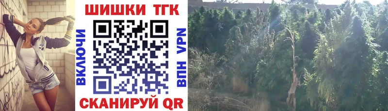 Конопля гибрид  Купить закладки  Почеп 